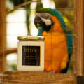Citrus Grove